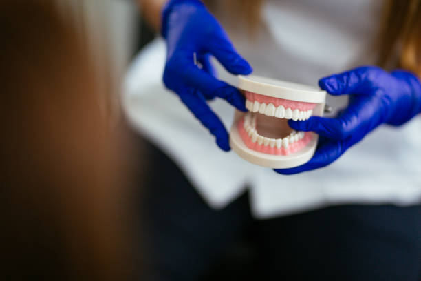 Professional Dental Services in Cibolo, TX